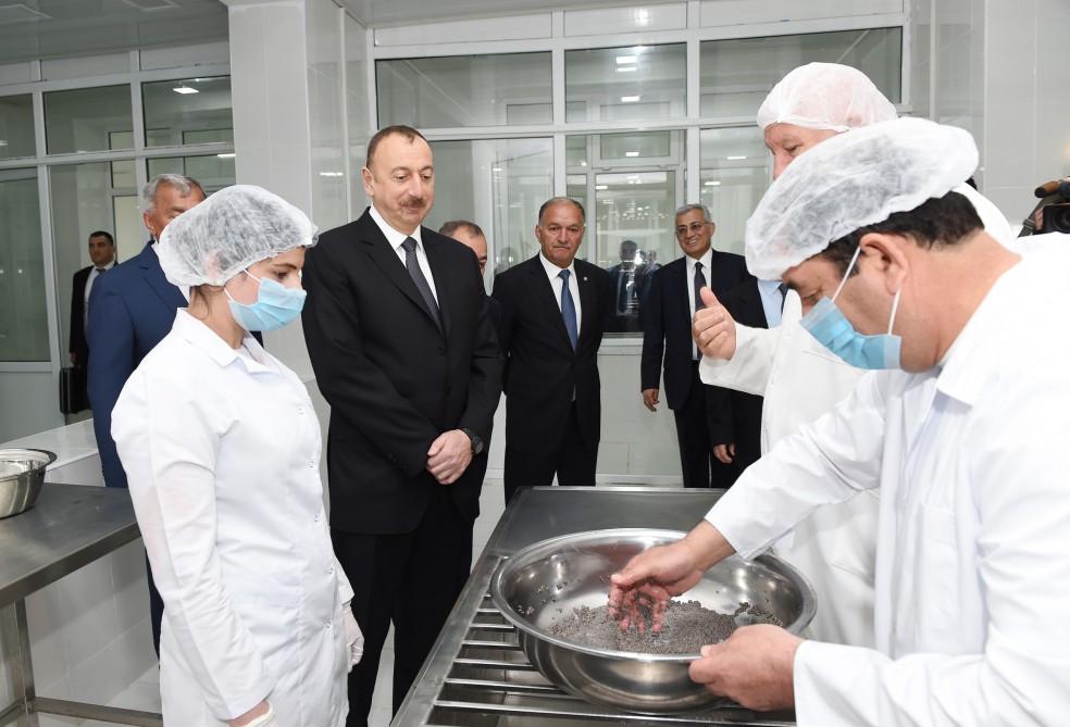 Президент Ильхам Алиев принял участие в открытии Варваринского предприятия по разведению рыбы (ФОТО) (версия 2)