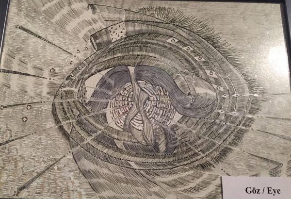 Ноев ковчег 21 века Хатиры Гасанзаде (ФОТО)