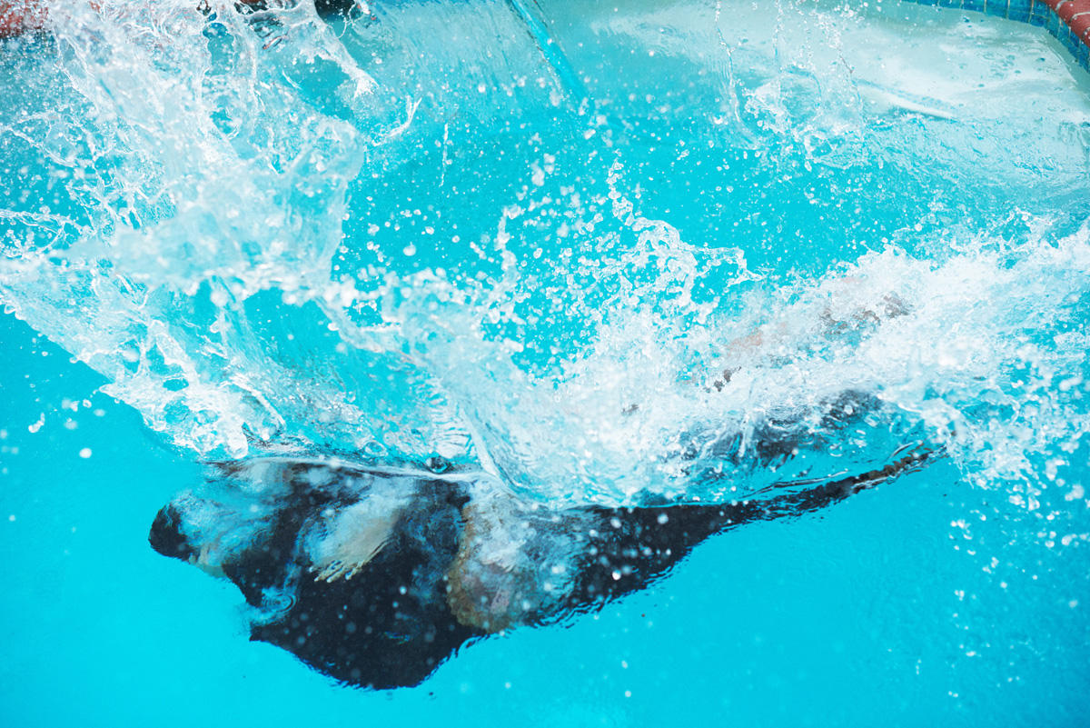 GOOD LOVE: EMIN заинтриговал поклонников (ВИДЕО,ФОТО)