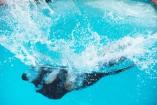 GOOD LOVE: EMIN заинтриговал поклонников (ВИДЕО,ФОТО)