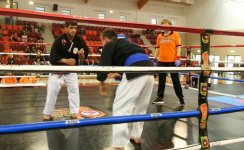 Азербайджанские бойцы по кэмпо стали чемпионами мира  в Португалии (ФОТО)