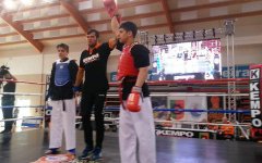 Азербайджанские бойцы по кэмпо стали чемпионами мира  в Португалии (ФОТО)