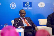 Проводимый в Баку форум создает широкие возможности для обсуждения важных вопросов - Австрийская народная партия (ФОТО)