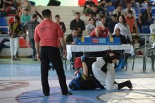 В Баку прошел турнир по алпагуту, посвященный 94-й годовщине со дня рождения Гейдара Алиева (ФОТО)