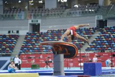 Подиумные тренировки спортивных гимнастов в рамках Игр исламской солидарности в Баку (ФОТОРЕПОРТАЖ)