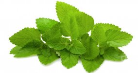 Как избавиться от усталости и сонливости народными средствами (ФОТО)