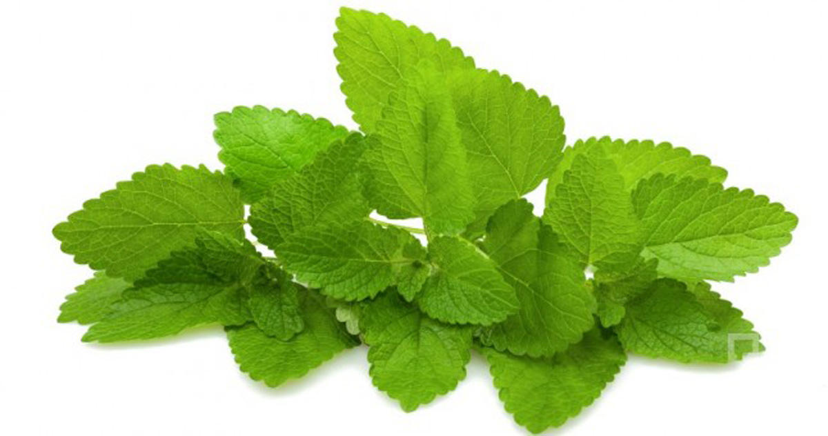 Как избавиться от усталости и сонливости народными средствами (ФОТО)