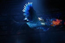 Героиня церемонии открытия Исламиады Мина - кто она? Интересные откровения (ФОТО)