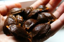 Витамин B17 против рака (ФОТО)