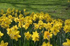 Вот таким увидел Дюссельдорф азербайджанский путешественник (ФОТО)