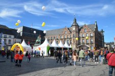 Вот таким увидел Дюссельдорф азербайджанский путешественник (ФОТО)