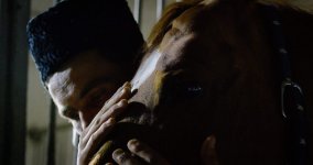 Что связывает Карабахского скакуна и Формулу 1? (ВИДЕО, ФОТО)