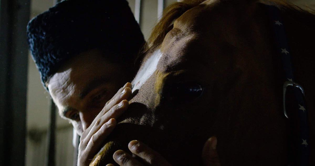 Что связывает Карабахского скакуна и Формулу 1? (ВИДЕО, ФОТО)