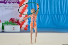 В Гёйчае проходит I Открытое первенство города по художественной гимнастике (ФОТО)