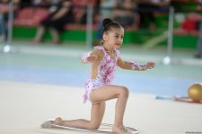 В Гёйчае проходит I Открытое первенство города по художественной гимнастике (ФОТО)