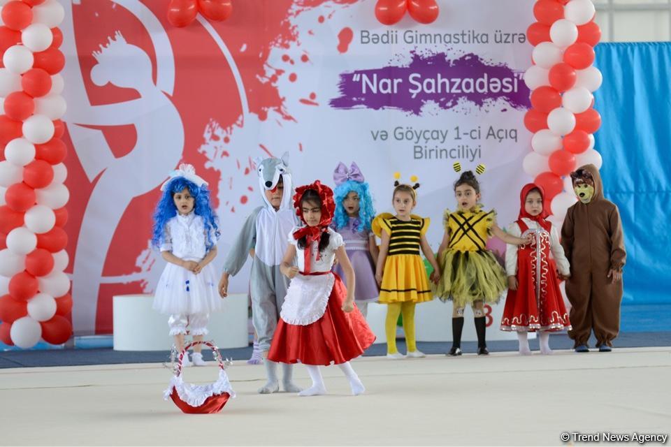 В Гёйчае проходит I Открытое первенство города по художественной гимнастике (ФОТО)