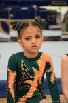 Стартовали XXIV Чемпионат Баку и Первенство Азербайджана по мужской и женской спортивной гимнастике (ФОТО)