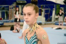 Стартовал второй день соревнований XXIV Чемпионата Баку и Первенства Азербайджана по мужской и женской спортивной гимнастике (ФОТО)