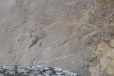 Путешествие в Гобустан: От наскальных рисунков До современных технологий (ФОТО)
