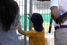 В развлекательной зоне F1 Village в Баку (Фотосессия)