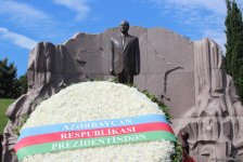 Оглашены инвестиции в пополнение азербайджанского флота в течение 5 лет (ФОТО)