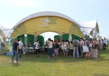 В Баку прошел грандиозный Фестиваль йоги на открытом воздухе (ФОТО)