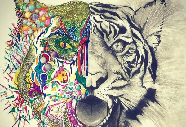 Гигантский астероид приближается к Земле - сублимация  Арзу Халиловой (ФОТО)