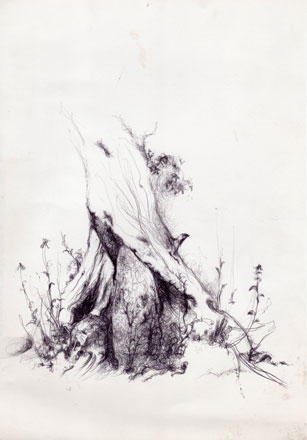 Гигантский астероид приближается к Земле - сублимация  Арзу Халиловой (ФОТО)