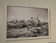 Солнечный свет и сочные краски: лето азербайджанских художниц (ФОТО)