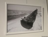 Солнечный свет и сочные краски: лето азербайджанских художниц (ФОТО)