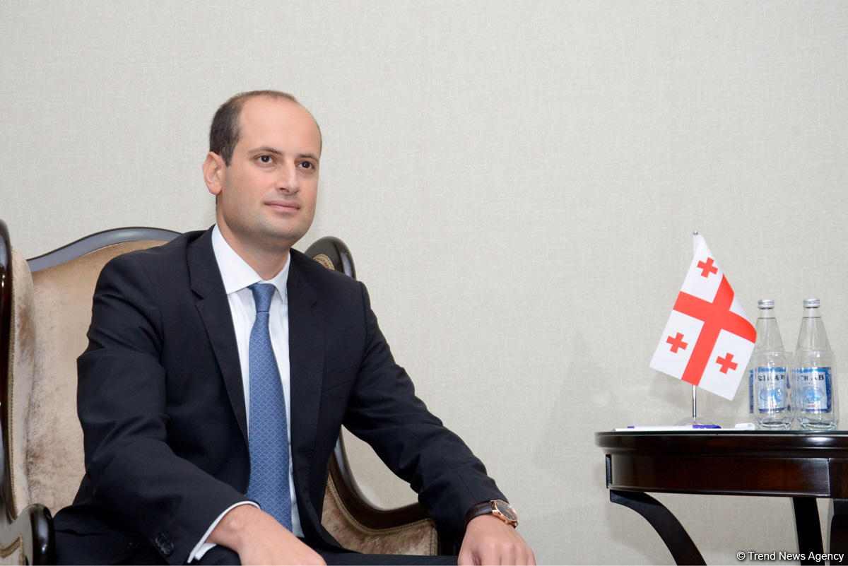 Глава МИД: Грузия готова сделать следующие шаги на пути вступления в НАТО