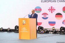 В Баку состоялась церемония  открытия Чемпионата Европы по волейболу  (ФОТО, ВИДЕО)