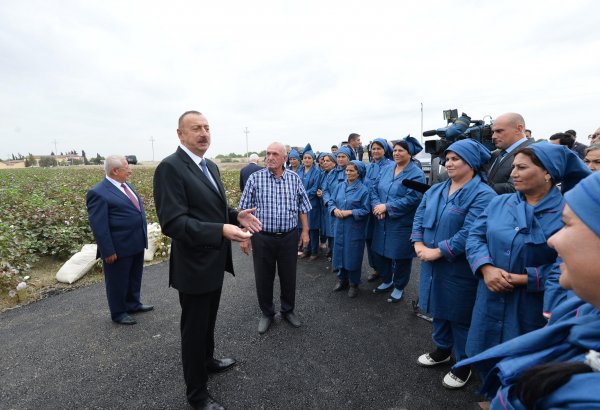 Президент Ильхам Алиев ознакомился с хлопковым участком в Нефтчалинском районе (ФОТО)