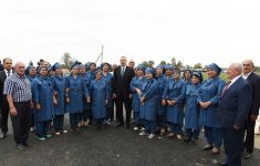 Президент Ильхам Алиев ознакомился с хлопковым участком в Нефтчалинском районе (ФОТО)