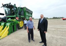 Президент Ильхам Алиев ознакомился с хлопковым участком в Нефтчалинском районе (ФОТО)