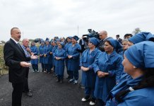 Президент Ильхам Алиев ознакомился с хлопковым участком в Нефтчалинском районе (ФОТО)