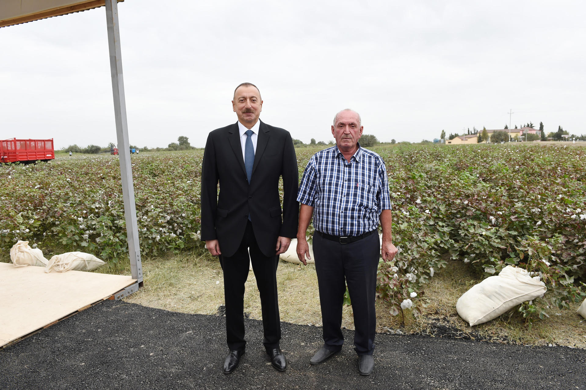 Президент Ильхам Алиев ознакомился с хлопковым участком в Нефтчалинском районе (ФОТО)