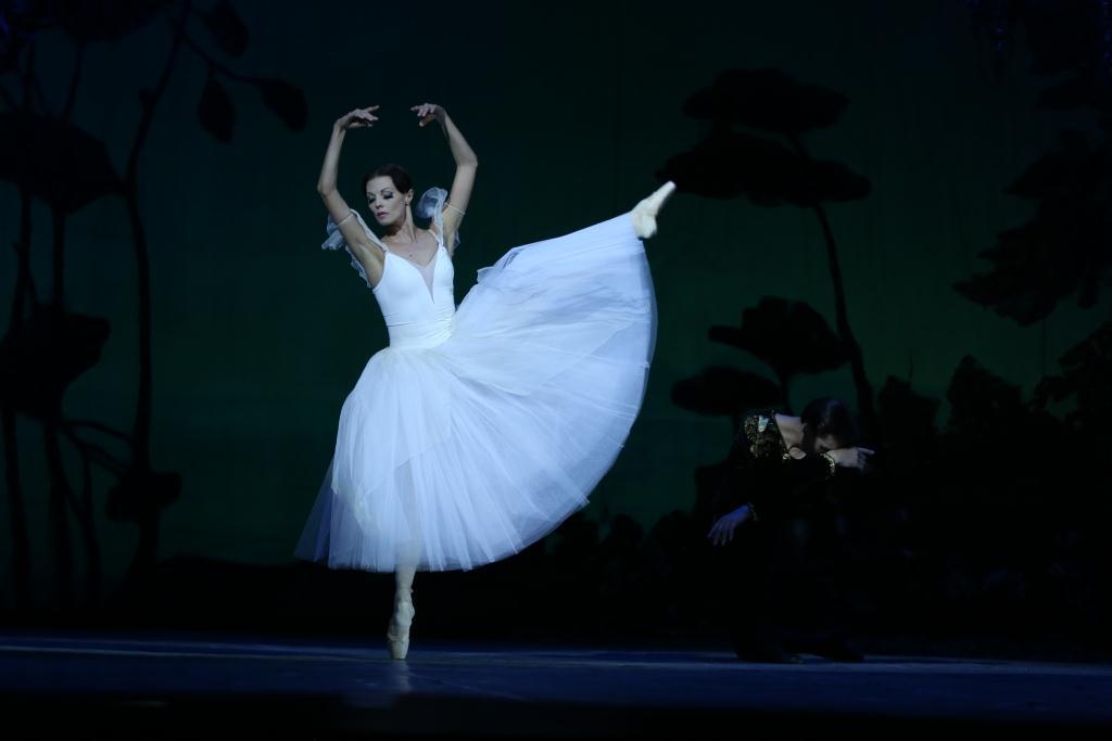 Ведущие солисты Украины в Баку - вечер высокого искусства (ФОТО)