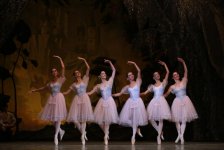 Ведущие солисты Украины в Баку - вечер высокого искусства (ФОТО)