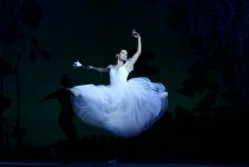 Ведущие солисты Украины в Баку - вечер высокого искусства (ФОТО)