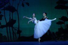 Ведущие солисты Украины в Баку - вечер высокого искусства (ФОТО)