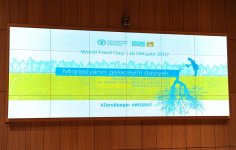 Вице-президент Фонда Гейдара Алиева: Продовольственная безопасность важна для обеспечения мира, стабильности и устойчивости (ФОТО) (версия 4)