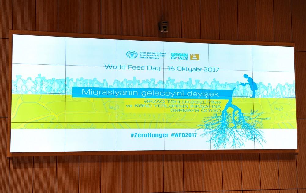 Вице-президент Фонда Гейдара Алиева: Продовольственная безопасность важна для обеспечения мира, стабильности и устойчивости (ФОТО) (версия 4)