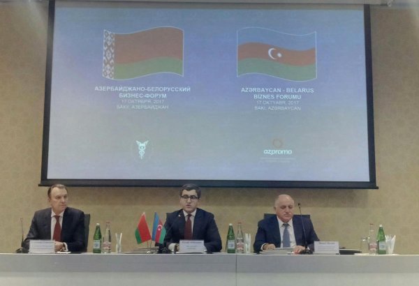 Инвестиции Беларуси в Азербайджан достигли одного миллиарда долларов - глава ТПП (ФОТО)