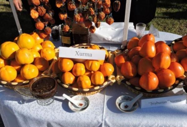 Расширяется география экспорта азербайджанской хурмы