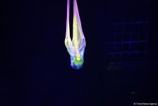 Такого циркового шоу в Баку еще не было! (ФОТО)