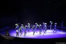 Такого циркового шоу в Баку еще не было! (ФОТО)