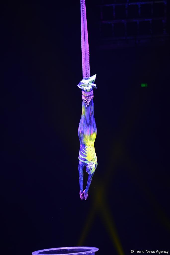 Такого циркового шоу в Баку еще не было! (ФОТО)