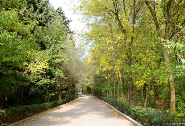 В Азербайджане утверждены уставы ряда юрлиц публичного права