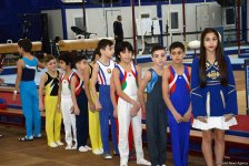 Стартовали чемпионаты Азербайджана по спортивной гимнастике и акробатике (ФОТО)